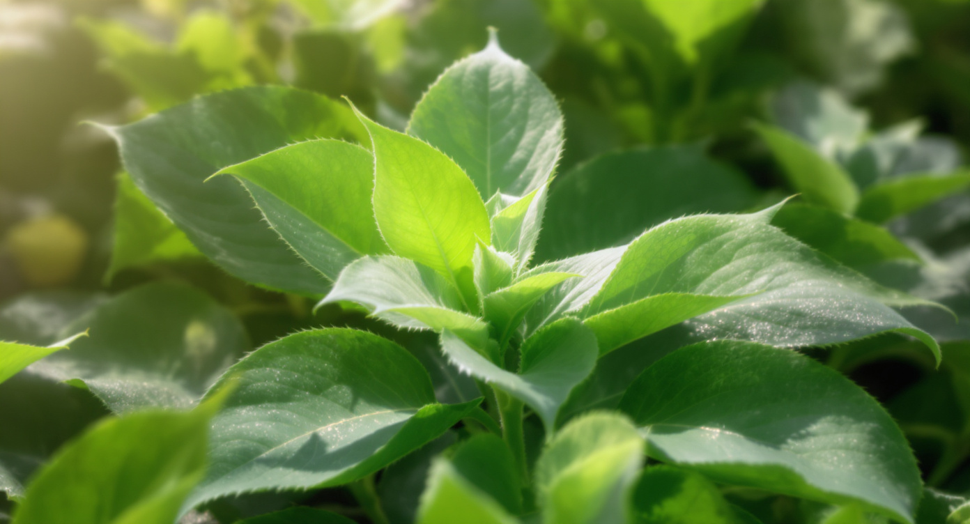 Vad är fotosyntes? En komplett guide till naturens viktigaste process